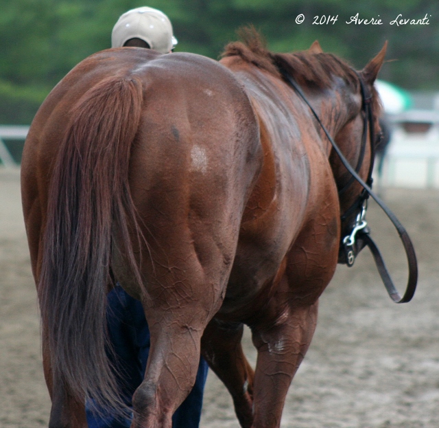 Through The Lens Haskell Day